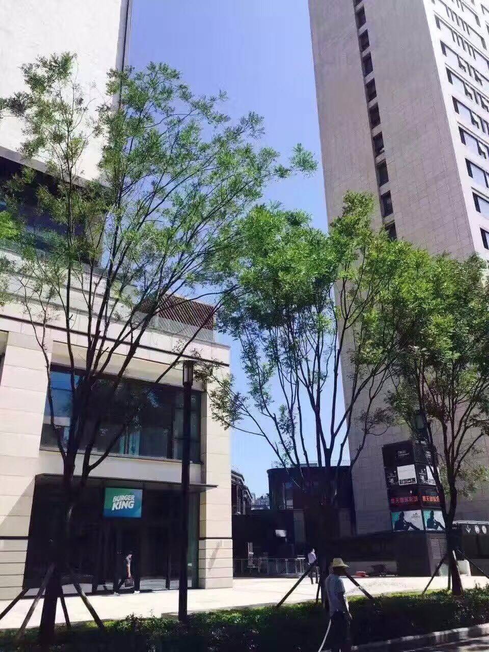 石榴中心辦公樓出租網(wǎng) 石榴中心辦公樓出租網(wǎng)